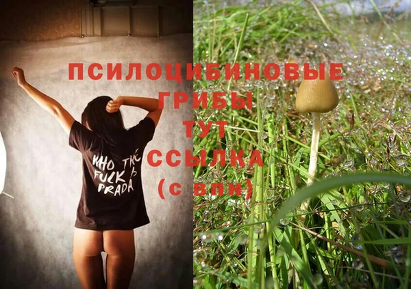 гидра Балабаново