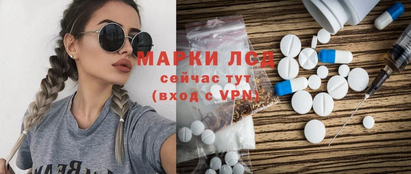 сатива Баксан