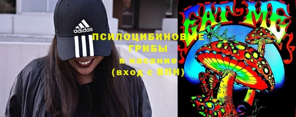 сатива Баксан