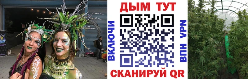 Бошки марихуана Amnesia  где продают   Белозерск 